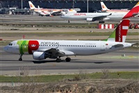 Alfonso Sols - Asociacin Canary Islands Spotting. Haz click para ampliar