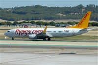 Miguel A. gueda Rguez.  (CANARY ISLANDS SPOTTING). Haz click para ampliar