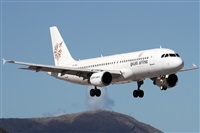 Alfonso Sols - Asociacin Canary Islands Spotting. Click to see full size photo