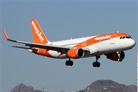 Alfonso Sols - Asociacin Canary Islands Spotting. Click to see full size photo