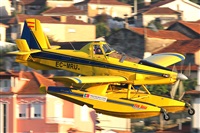 Fernando Dias silva. Click to see full size photo
