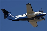 Alfonso Sols - Asociacin Canary Islands Spotting. Click to see full size photo