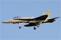 Alfonso Sols - Asociacin Canary Islands Spotting. Click to see full size photo