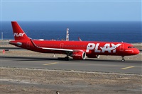 Alfonso Sols - Asociacin Canary Islands Spotting. Haz click para ampliar