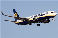 Alfonso Sols - Asociacin Canary Islands Spotting. Click to see full size photo