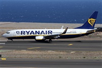 Alfonso Sols - Asociacin Canary Islands Spotting. Click to see full size photo