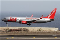 ©Alfonso Solís - Asociación Canary Islands Spotting. Click to see full size photo ©Alfonso Solís - Asociación Canary Islands Spotting. Click to see full size photo