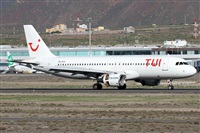 ©Alfonso Solís - Asociación Canary Islands Spotting. Click to see full size photo ©Alfonso Solís - Asociación Canary Islands Spotting. Click to see full size photo