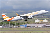 Miguel A. gueda Rguez.  (CANARY ISLANDS SPOTTING). Click to see full size photo