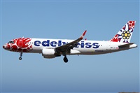 ©Alfonso Solís - Asociación Canary Islands Spotting. Click to see full size photo ©Alfonso Solís - Asociación Canary Islands Spotting. Click to see full size photo