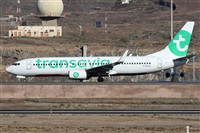 ©Alfonso Solís - Asociación Canary Islands Spotting. Click to see full size photo ©Alfonso Solís - Asociación Canary Islands Spotting. Click to see full size photo