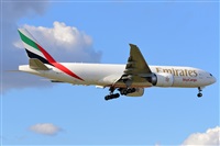 Miguel A. gueda Rguez.  (CANARY ISLANDS SPOTTING). Click to see full size photo