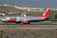©Alfonso Solís - Asociación Canary Islands Spotting. Click to see full size photo ©Alfonso Solís - Asociación Canary Islands Spotting. Click to see full size photo
