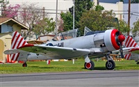 Michael Barker. Click to see full size photo