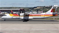 ©Román A. Pérez. Click to see full size photo ©Román A. Pérez. Click to see full size photo