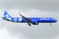 Miguel A. gueda Rguez.  (CANARY ISLANDS SPOTTING). Click to see full size photo