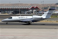 ©Alfonso Solís - Asociación Canary Islands Spotting. Click to see full size photo ©Alfonso Solís - Asociación Canary Islands Spotting. Click to see full size photo