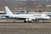 ©Alfonso Solís - Asociación Canary Islands Spotting. Click to see full size photo ©Alfonso Solís - Asociación Canary Islands Spotting. Click to see full size photo