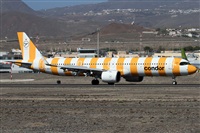 Alfonso Sols - Asociacin Canary Islands Spotting. Click to see full size photo