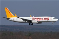 Daniel Schwinn. Click to see full size photo