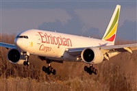 Tams. Click to see full size photo