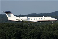 �Daniel Schwinn. Click to see full size photo