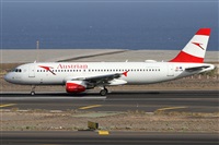 �Alfonso Sol�s - Asociaci�n Canary Islands Spotting. Click to see full size photo