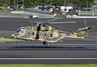 ©Antonio Batista. Click to see full size photo ©Antonio Batista. Click to see full size photo