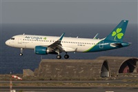 �Adolfo Bento - Gran Canaria Spotters. Click to see full size photo
