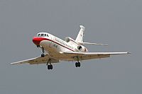 Jos Miguel Bernases - Noisy Spotters. Click to see full size photo