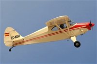 Ricardo Sanabria - AIRE.org. Click to see full size photo