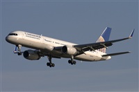 Jos Miguel Bernases - Noisy Spotters. Click to see full size photo