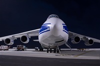 Javier de la Cruz - CANARY ISLANDS SPOTTING. Click to see full size photo