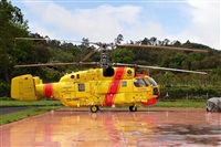Carlos Moreira  *  PortugalSpotters.org. Click to see full size photo