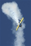 Eliseo Vergara. Click to see full size photo
