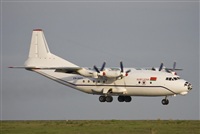 Carlos Moreira  *  PortugalSpotters.org. Click to see full size photo