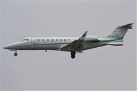 Rodrigo Carvalho - Noisy Spotters. Click to see full size photo