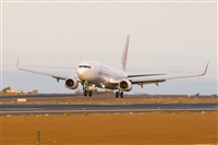 Javier de la Cruz - CANARY ISLANDS SPOTTING. Click to see full size photo
