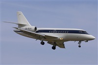 Jos Miguel Bernases - Noisy Spotters. Click to see full size photo