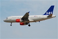 Rubn Gil - Noisy Spotters. Click to see full size photo