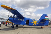 Jos Miguel Bernases - Noisy Spotters. Click to see full size photo