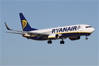 Alfonso Sols - Asociacin Canary Islands Spotting. Click to see full size photo