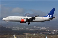 Miguel A. gueda Rguez.  (CANARY ISLANDS SPOTTING). Click to see full size photo
