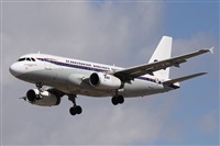 Alfonso Sols - Asociacin Canary Islands Spotting. Click to see full size photo