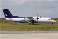 Jos Miguel Bernases - Noisy Spotters. Click to see full size photo
