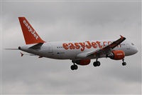 Alfonso Sols - Asociacin Canary Islands Spotting. Click to see full size photo
