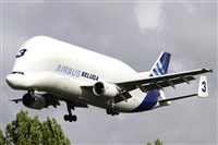 ©Ramón Minguet Dominguez Spotters Barcelona-El Prat. Click to see full size photo ©Ramón Minguet Dominguez Spotters Barcelona-El Prat. Click to see full size photo