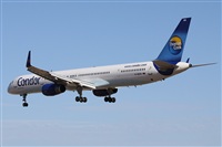 ©Alfonso Solís - Asociación Canary Islands Spotting. Click to see full size photo ©Alfonso Solís - Asociación Canary Islands Spotting. Click to see full size photo