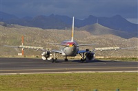 Miguel A. gueda Rguez.  (CANARY ISLANDS SPOTTING). Click to see full size photo