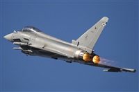 Rui Alves - Madeira Spotters. Haz click para ampliar